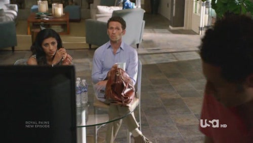 royal.pains.s01e08.hdtv.xvid-fqm[(000990)13-59-45]