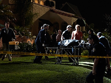 Dexter 13