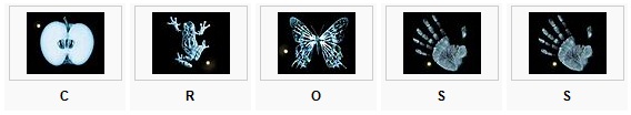 Fringe code