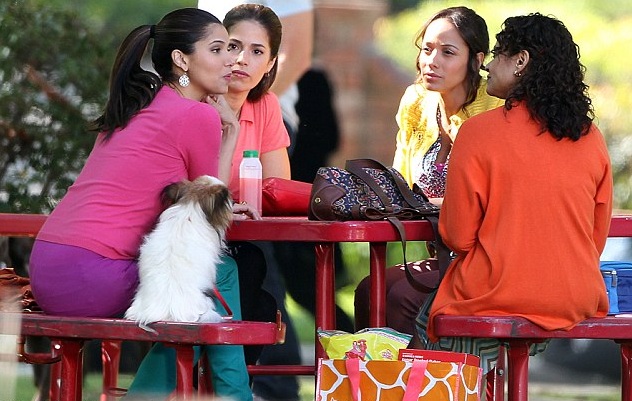 Devious Maids