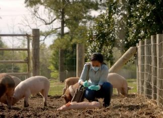 Under The Dome 2×04: Revelation
