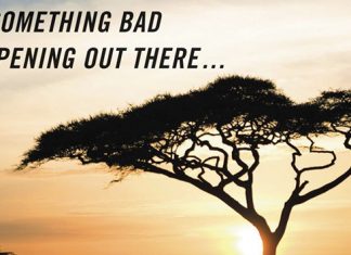 Zoo | CBS encomenda nova série baseada em livro de James Patterson
