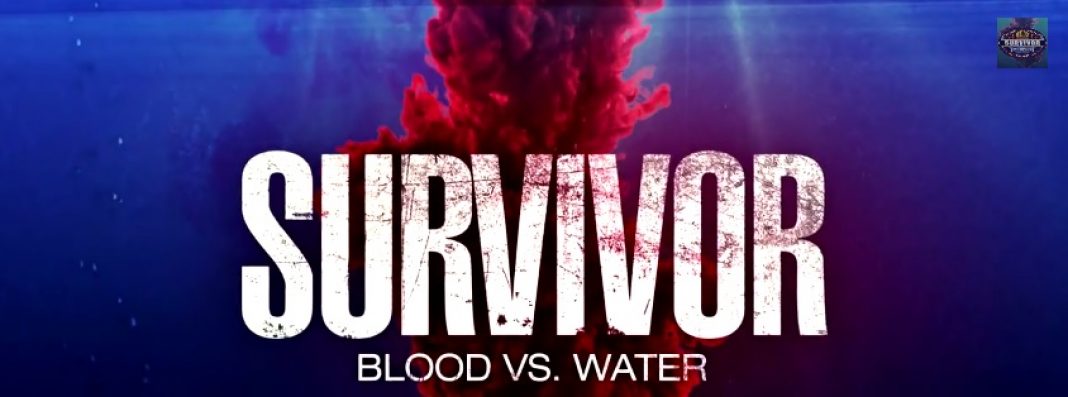 Survivor capa