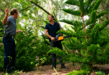 Hawaii Five-0 5×09: Ke Koho Mamao Aku (Longshot)
