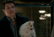 Castle 7×11: Castle, P.I.