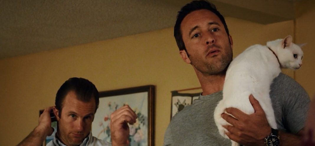 Hawaii 5.0 5x17