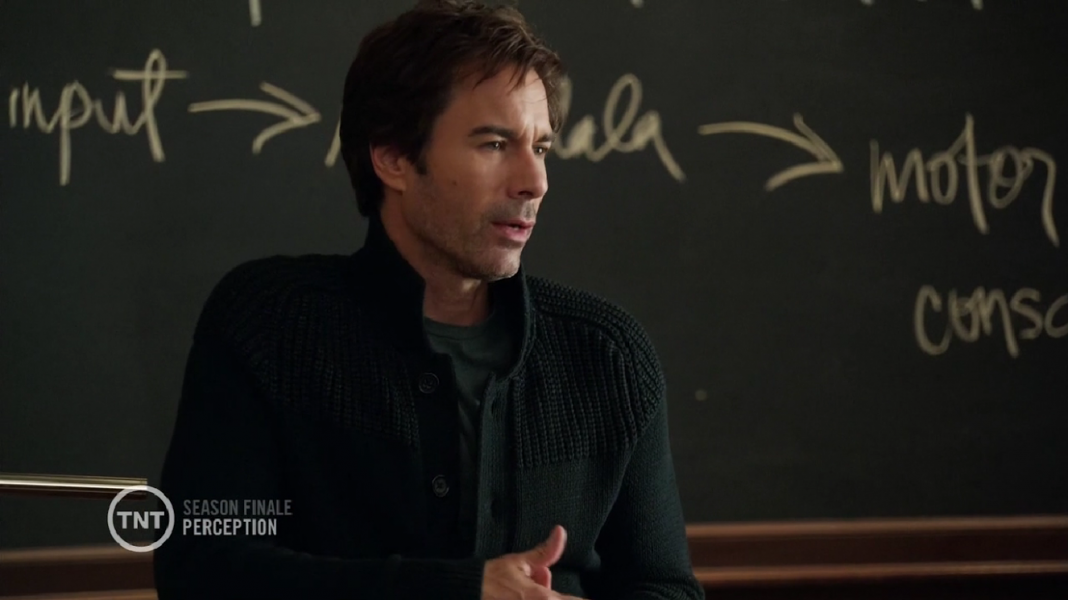 Perception 3X15