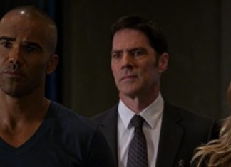 Criminal Minds 10×22: Protection
