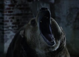 Zoo 1×07: Sleuth