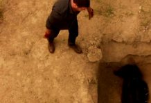 Ray Donovan 3×08: Tulip