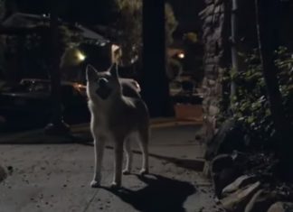 American Crime Story | Assista ao novo teaser da próxima antologia de Ryan Murphy