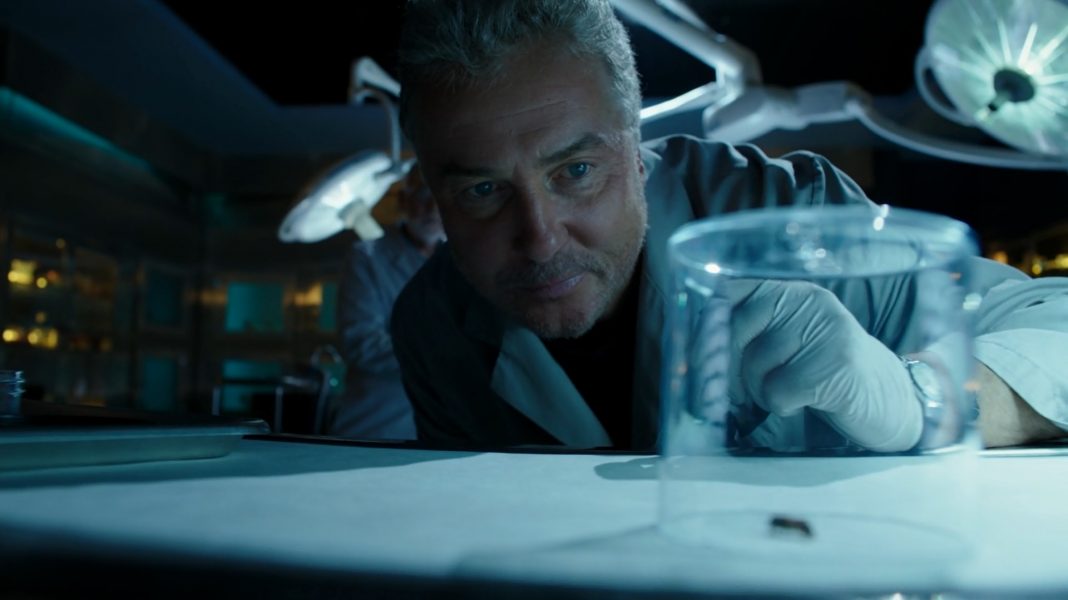 CSI finale