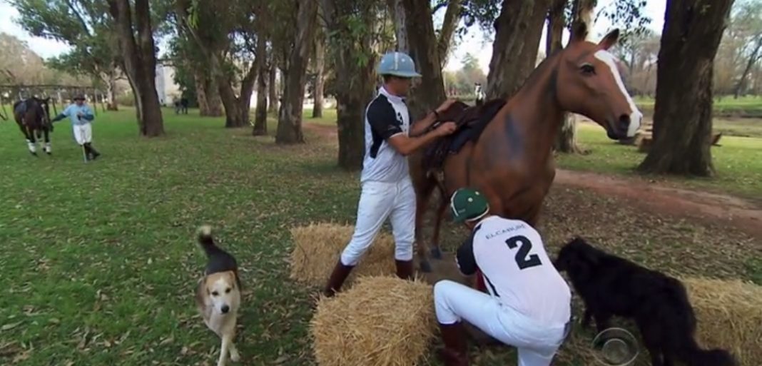 The Amazing Race 27x03
