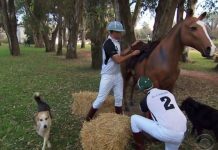 The Amazing Race 27×03: Where My Dogs At?