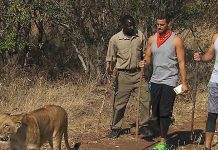 The Amazing Race 27×05: King of the Jungle