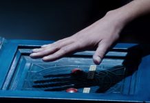 Doctor Who 9×08: The Zygon Inversion