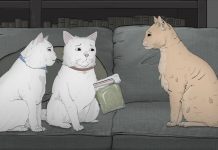 Animals 1×03: Cats