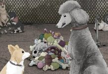 Animals 1×04: Dogs