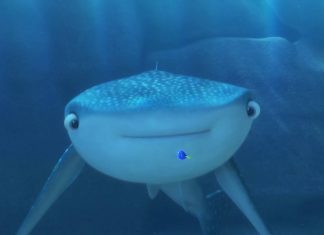 Procurando Dory | Assista ao trailer