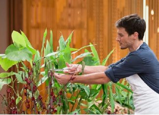 MasterChef Brasil 3×21/22: Top 6/Top 5