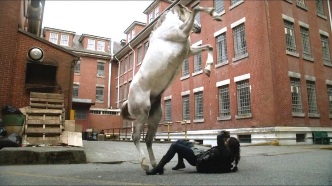 Zoo-2x09