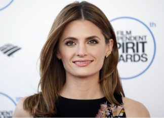 Stana Katic de Castle pode estrelar nova série policial do AXN