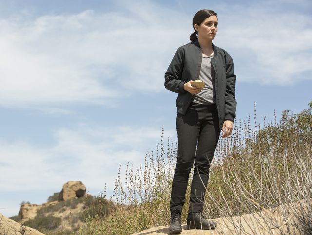 westworld-elsieElsie Hughes (Shannon Woodward) da equipe de programação do parque. Westworld --- "The Stray"