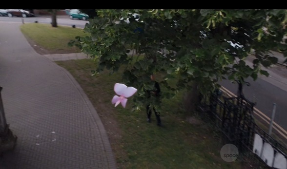  Tenho a certeza que essa florzinha inocente enganou a todos. Class --- Co-Owner of a Lonely Heart.