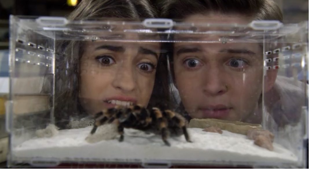 fuller-house-2x08
