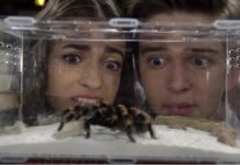 Fuller House 2×08: A Tangled Web