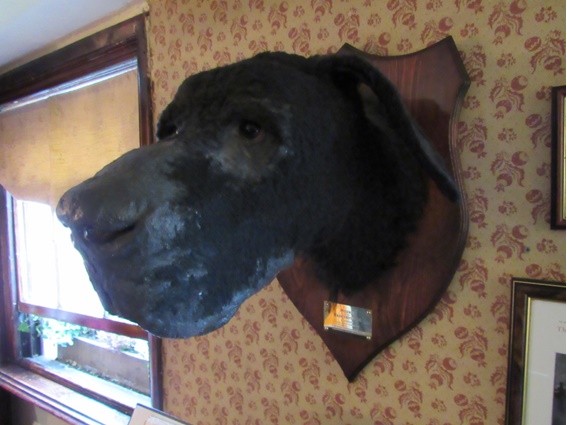 Essa é uma das minhas favoritas: O Cão dos Baskervilles.