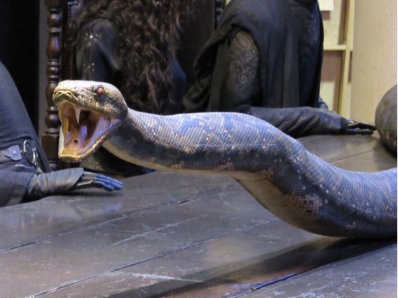 Nagini.