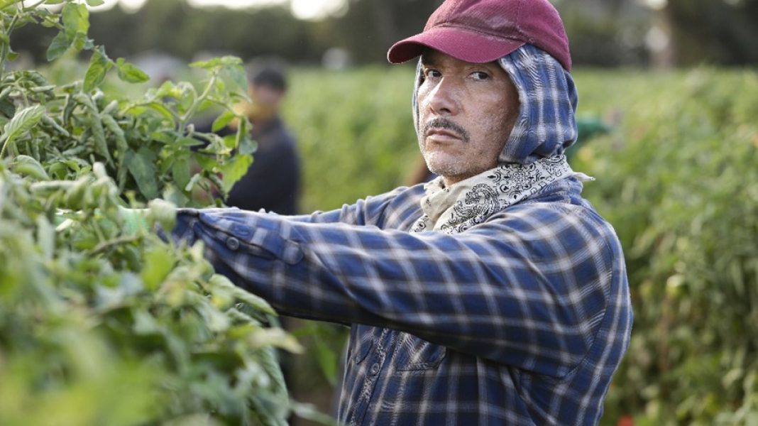American Crime