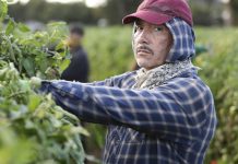 Análise da Audiência 5×10: Temporada de fracassos American Crime