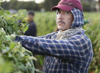 Análise da Audiência 5×10: Temporada de fracassos American Crime