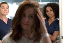 Grey’s Anatomy 14×04: Ain’t That a Kick in The Head