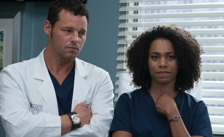 Grey’s Anatomy 14x04: Ain’t That a Kick in The Head Grey’s Anatomy 14x04: Ain’t That a Kick in The Head