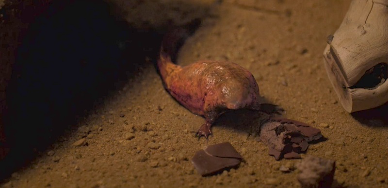 Stranger Things 2x03: The Pollywog Stranger Things 2x03: The Pollywog