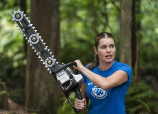 The Librarians 4×07: And the Disenchanted Forest