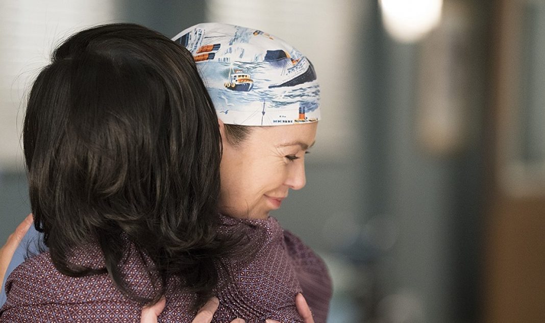 Grey’s Anatomy 14x13