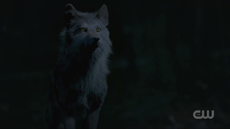 The Originals S05E12: The Tale of Two Wolves/Hope Mikaelson
