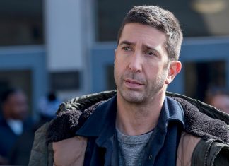 David Schwimmer vai fazer participação especial em Will & Grace