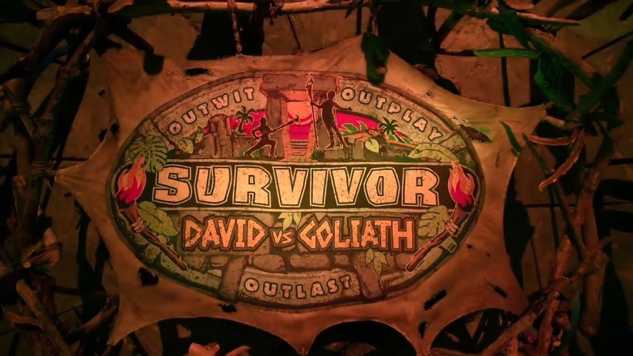 survivor-capa