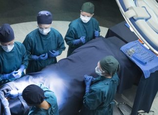 The Good Doctor 2×04: Tough Titmouse