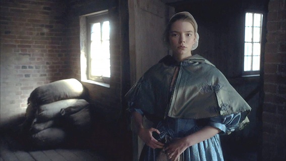 The Miniaturist The Miniaturist