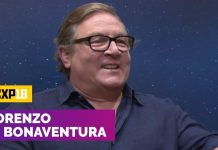 Produtor de Bumblebee fala sobre o futuro da franquia nos cinemas!