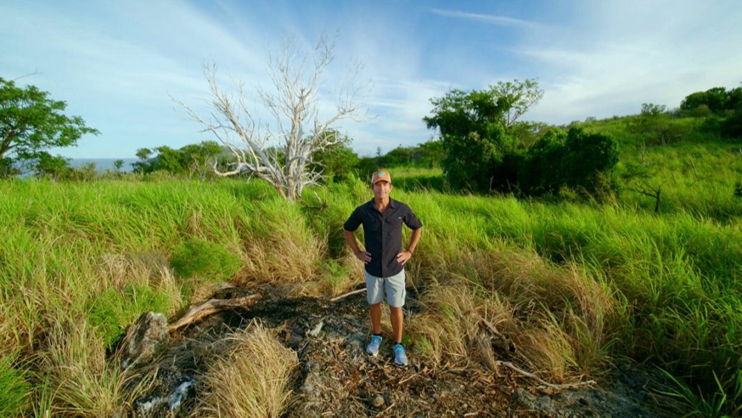 Survivor-Edge-of-Extinction-38x01