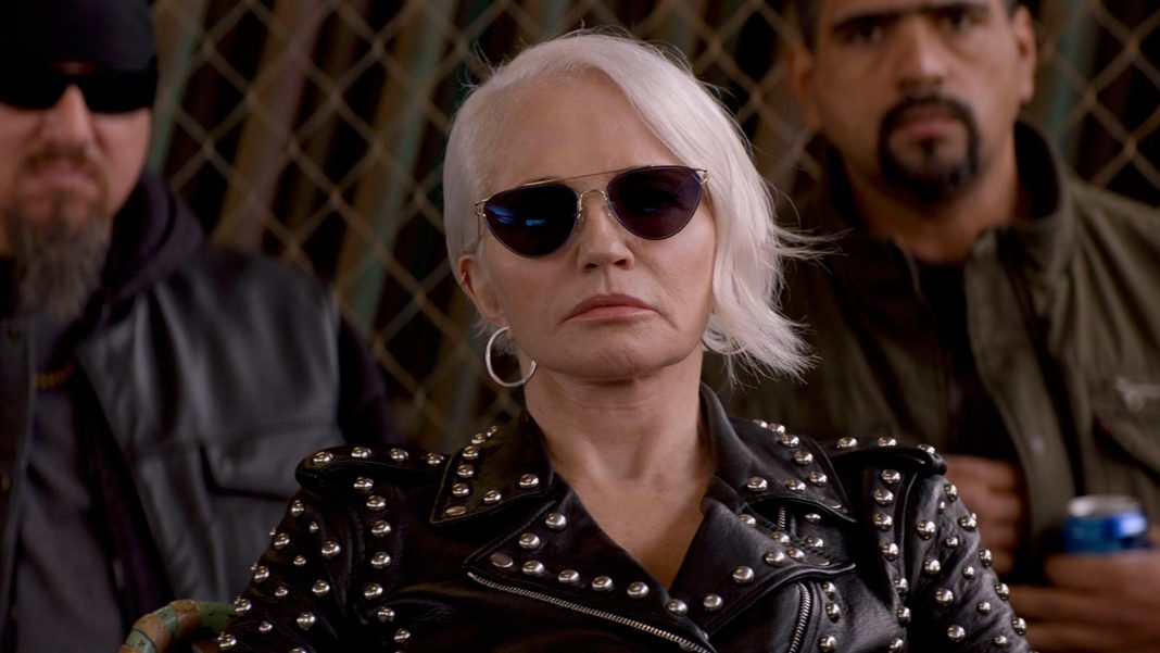 https___i.cdn.tntdrama.com_assets_images_2019_05_AnimalKingdom-S04E01-Janine-1600x900
