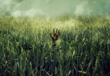 Crítica: Campo do Medo é um filme que não entrega o potencial de uma história digna de Stephen King