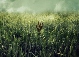 Crítica: Campo do Medo é um filme que não entrega o potencial de uma história digna de Stephen King